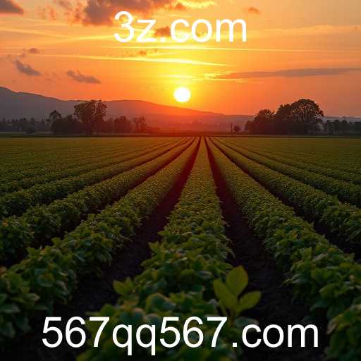 Central de Notícias